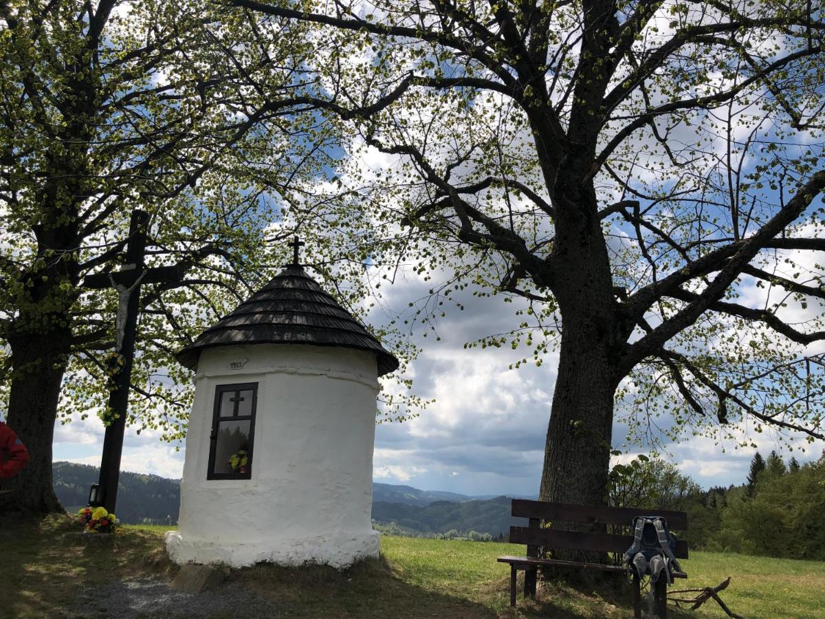 Chalet Horska Pluskovjanka